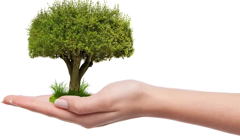 Ślad węglowy - jak zmniejszyć emisję i zrozumieć jego wpływ na zmiany klimatyczne